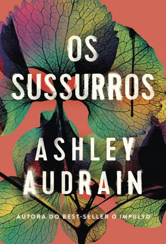 Os Sussurros - Ashley Audrain