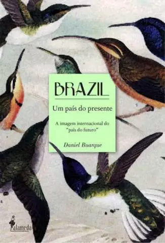 Brazil um País do Presente  -  Daniel Buarque