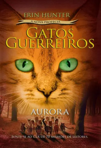 Aurora - Gatos Guerreiros Vol. 3 - Erin Hunter