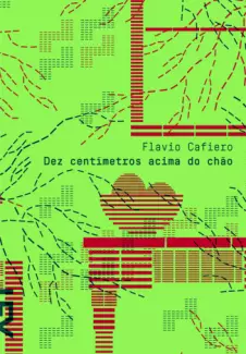 Dez Centímetros Acima do Chão  -  Flavio Cafiero