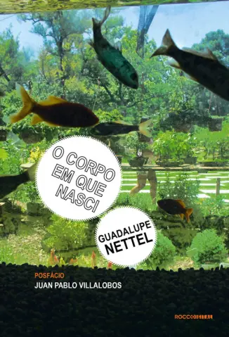 O corpo em que nasci - Guadalupe Netttel