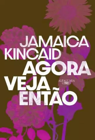 Agora Veja Então  -  Jamaica Kincaid