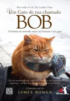 Um Gato de Rua Chamado Bob  -  James Bowen