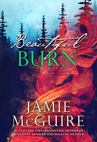 Beautiful Burn - Jamie McGuire