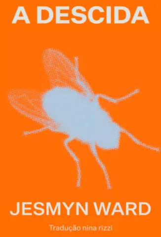 A Descida - Jesmyn Ward