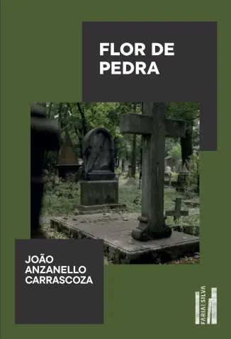 Flor de Pedra - João Anzanello Carrascoza