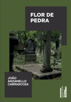 Flor de Pedra - João Anzanello Carrascoza