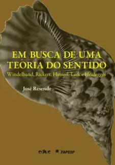 Em Busca de uma Teoria do Sentido  -  José Resende