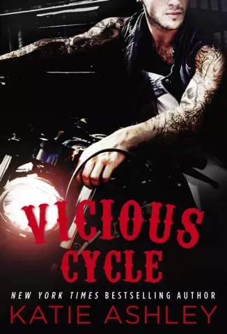 Vicious Cycle - Vicious Cycle  - Vol.  1  -  Katie Ashley