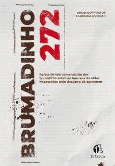 Brumadinho 272 - Luciana Quierati