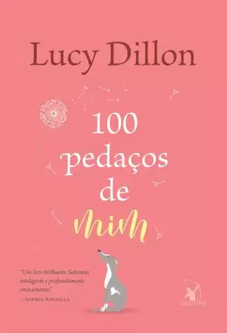100 Pedaços de Mim  -  Lucy Dillon