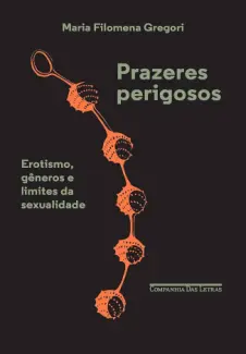 Prazeres Perigosos - Maria Filomena Gregori