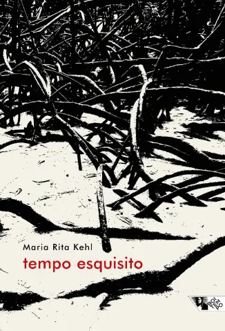 Tempo Esquisito - Maria Rita Kehl