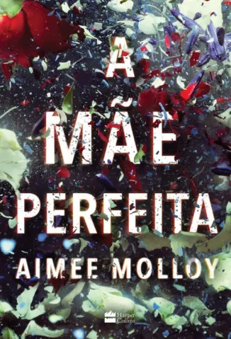 A mãe Perfeita -  Molloy Aimee