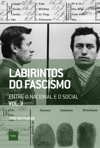 Entre o Nacional e o Social - Labirintos do Fascismo Vol. 3 - Paulo Henrique Pompermaier