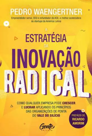 A Estratégia da Inovação Radical  -  Pedro Waengertner