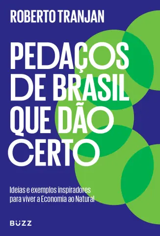Pedaços de Brasil que Dão Certo - Roberto Tranjan
