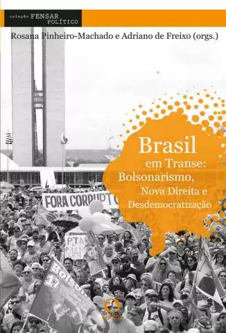 Brasil Em Transe: Bolsonarismo, Nova Direita e Desdemocratização  -  Rosana Pinheiro-Machado