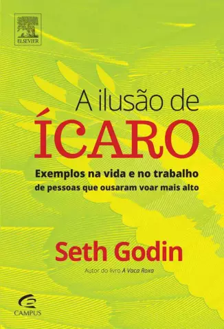 A ilusão de Ícaro  -  Seth Godin
