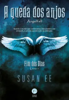 A Queda dos Anjos - Fim dos dias - Susan Ee