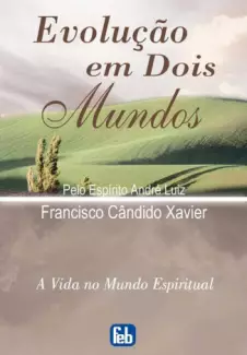  A Identidade da Alma (Em Portugues do Brasil): 9788543101934:  Panache Desai: Books